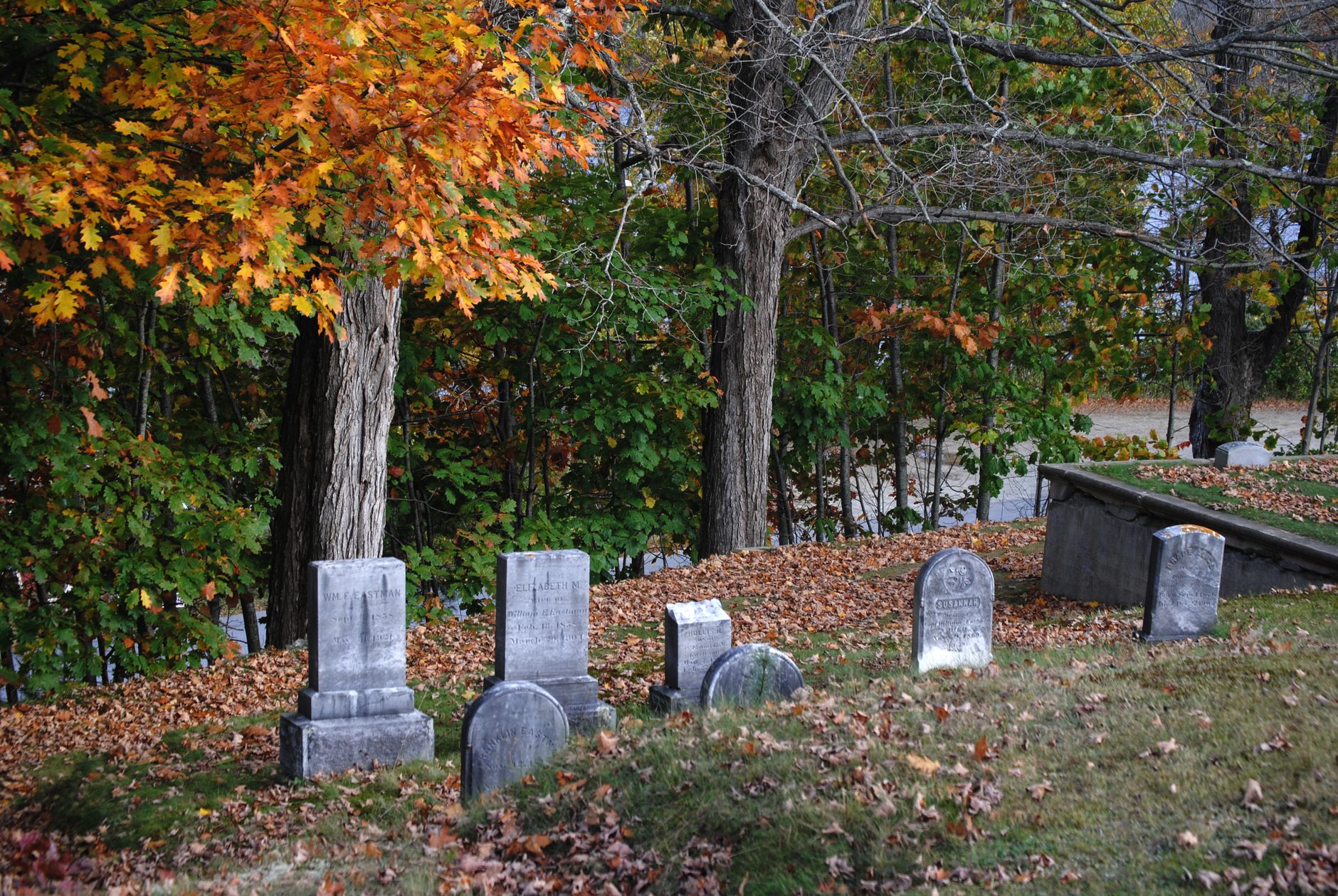 Sentier d'un cimetière naturel québécois bordé d'arbres et de pierres commémoratives discrètes