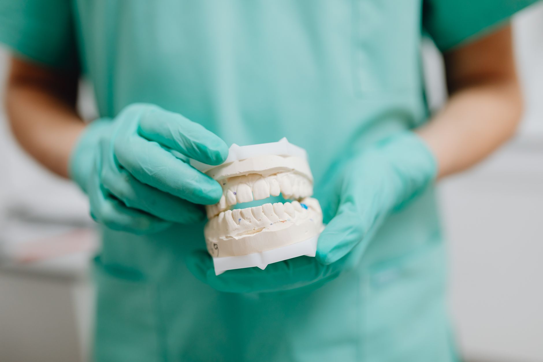 Flexible Nylon Partial Denture posée sur un modèle dentaire montrant une base souple sans crochets métalliques visibles