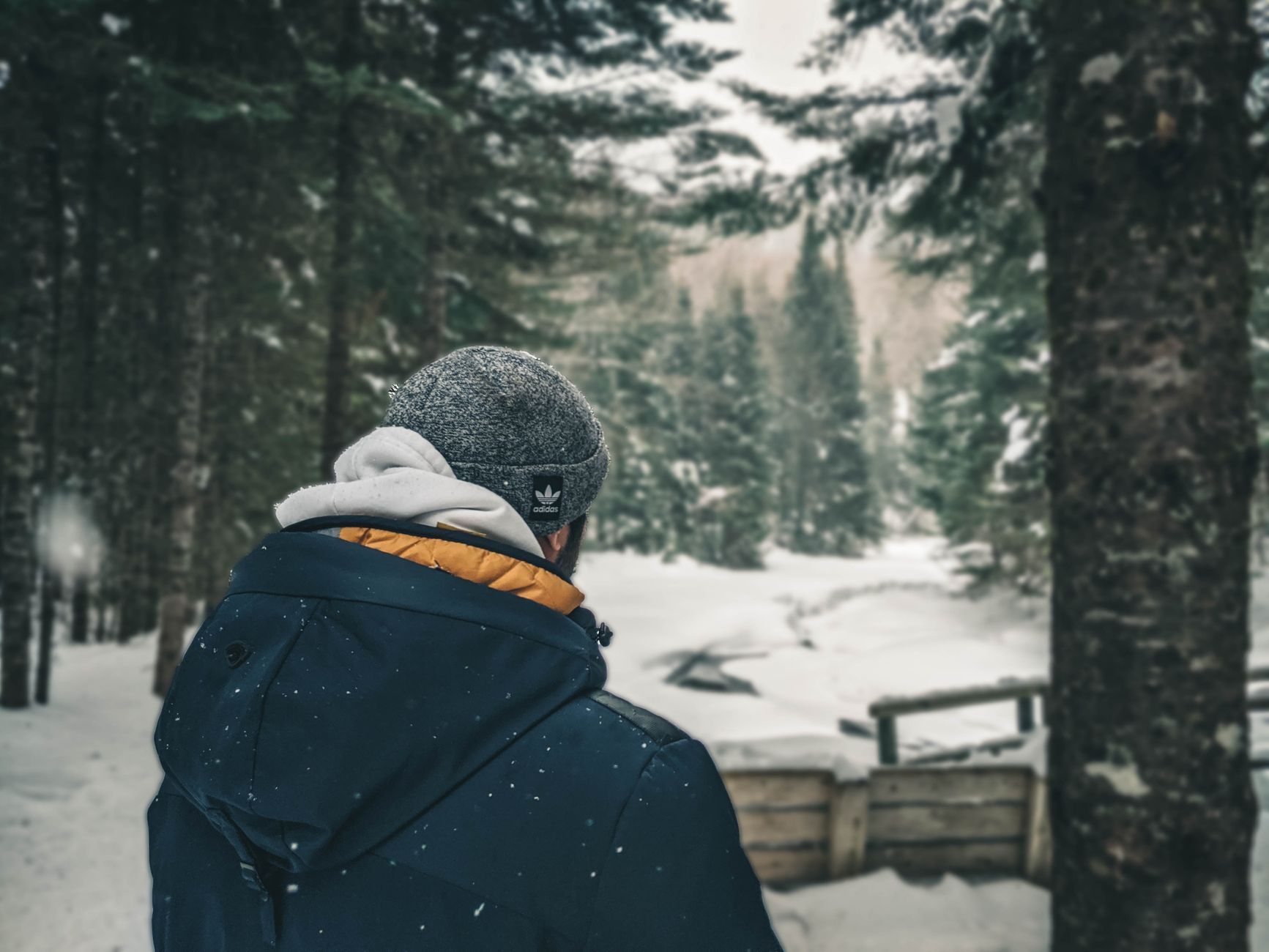 Bon cadeau-expérience d'aventure hivernale à offrir à un homme au Québec