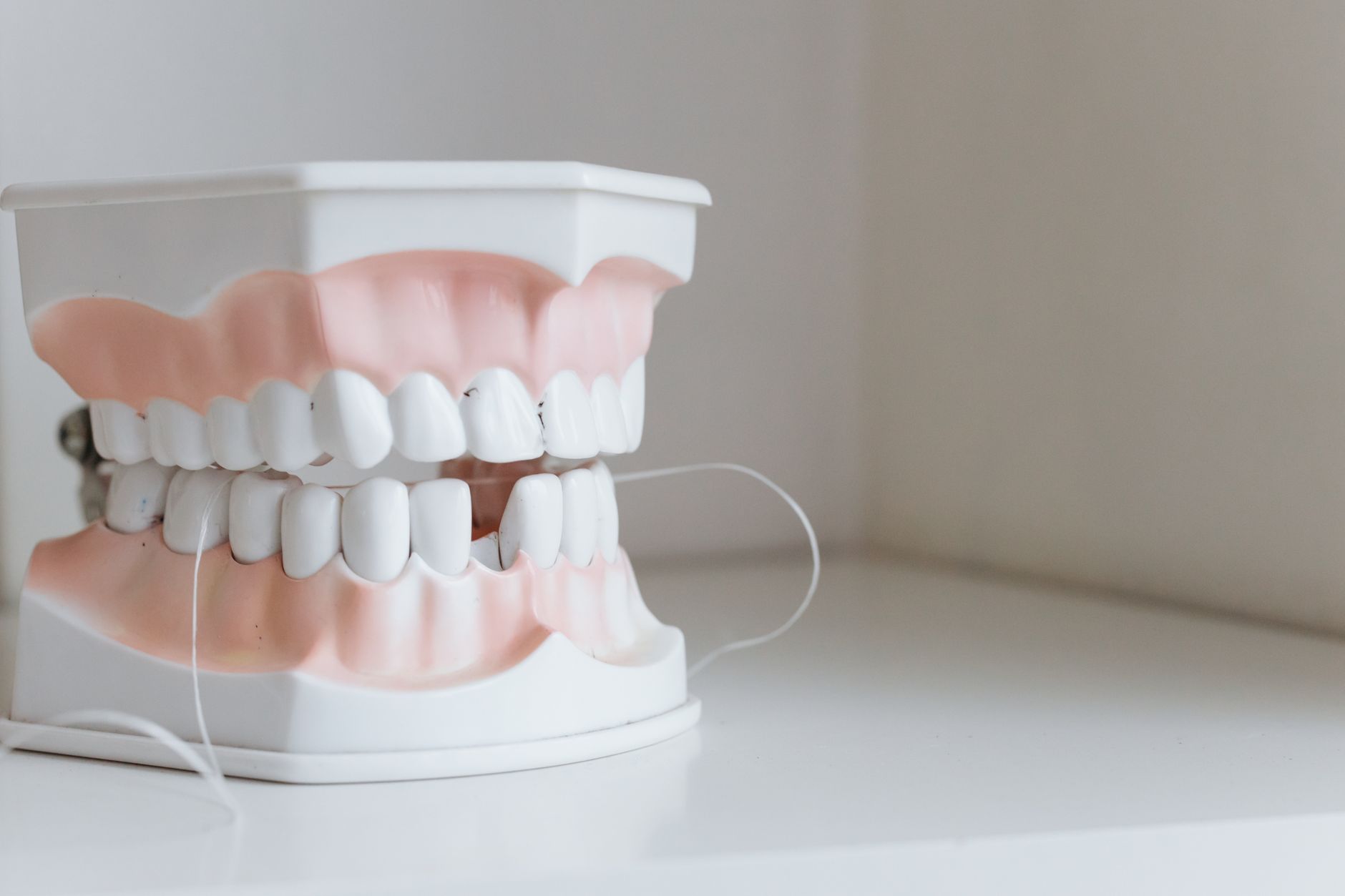 Full removable acrylic denture resting on the gum ready for daily cleaning