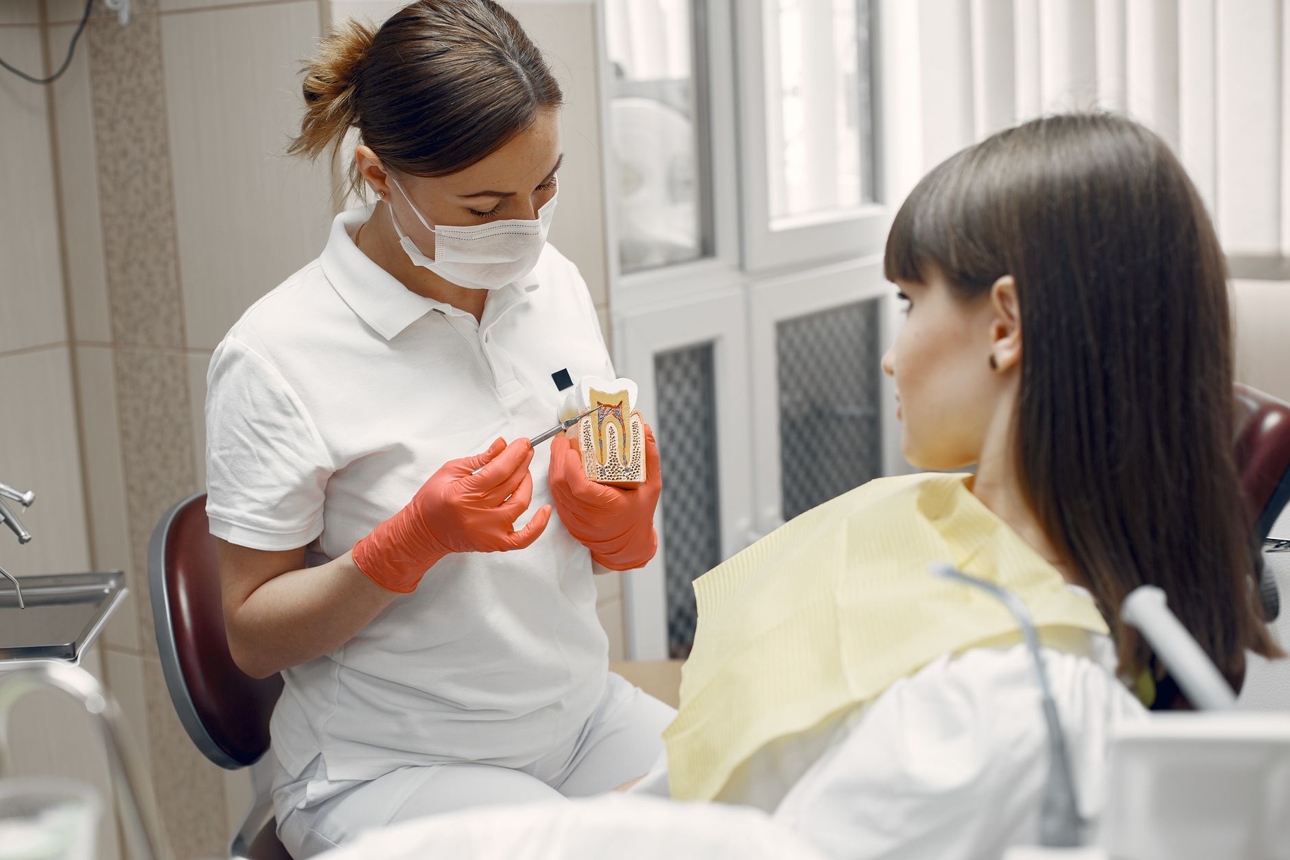 Dentist presenting cracked tooth repair options such as a crown and a veneer